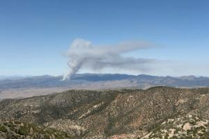 U.S. Wildland Fire Service/TNS/TNS