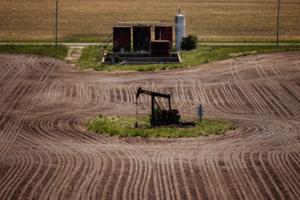 E. Jason Wambsgans/Chicago Tribune/TNS