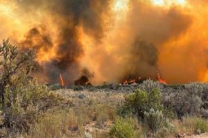 Colorado River Fire Rescue/TNS/TNS