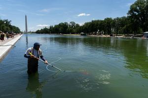 A National Park Service employee uses a vacuum to clean the Lincoln Memorial Reflecting Pool on June 20, 2026. AP Photo/Mark Schiefelbein