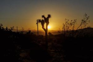 Gina Ferazzi/Los Angeles Times/TNS