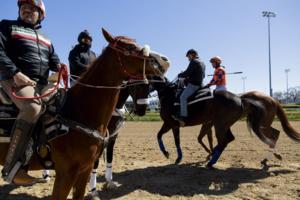 Vincent Alban/Chicago Tribune/TNS