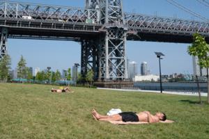 Barry Williams/New York Daily News/TNS