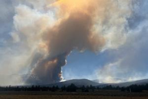 U.S. Forest Service/TNS