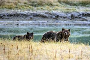Karen Bleier/AFP/Getty Images North America/TNS