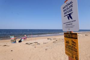 Nancy Lane/Boston Herald/Nancy Lane