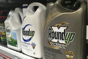 As of April 2026, the U.S. government has not required a warning label on Roundup weed killer. AP Photo/Haven Daley