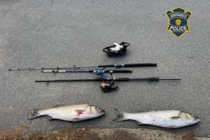 Massachusetts Environmental Police/TNS