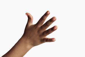 Hand development is shaped by evolution, biology and environment.  Cunaplus_M.Faba/iStock via Getty Images Plus