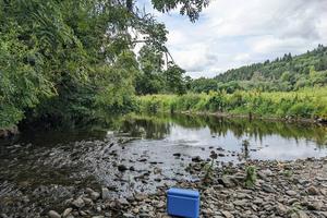 Hidden in the water is a wealth of genetic information. Jenny Whilde, CC BY-ND