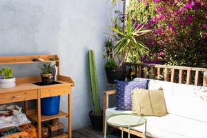 There are several creative ways to shade your backyard or patio. (Mackenzie Schieck/TCA)