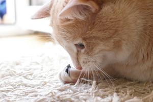 Does that look tasty? SKashkin/iStock / Getty Images Plus