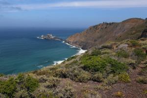 Aric Crabb/Bay Area News Group/TNS