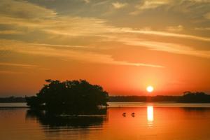 Max Chesnes/Tampa Bay Times/TNS