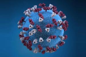 Centers for Disease Control and Prevention/Centers for Disease Control and Prevention/TNS