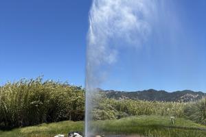Old Faithful Geyser of California. Andy Yemma