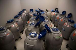 Nitrogen tanks holding tens of thousands of frozen embryos and eggs sit in a lab at New Hope Fertility Center in New York on Dec. 20, 2017.  Carolyn Van Houten/The Washington Post via Getty Images