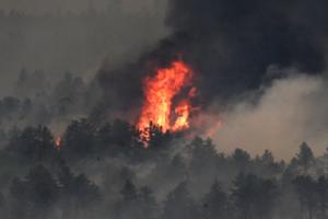 RJ Sangosti/The Denver Post/TNS