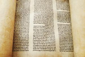 Torah scroll opened for reading. 400-year-old Torah scroll opened to Exodus 34. Dreamstime/TCA