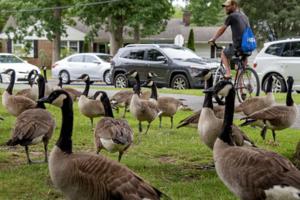 Tom Gralish/The Philadelphia Inquirer/TNS