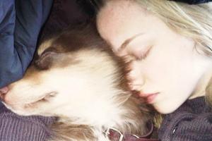 Bang Showbiz / Amanda Seyfried's dog has died