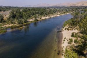 Darin Oswald/Idaho Statesman/TNS