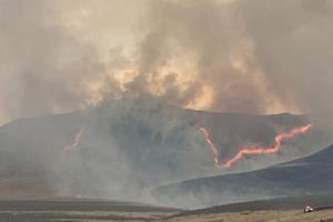 U.S. Wildland Fire Service/TNS/TNS