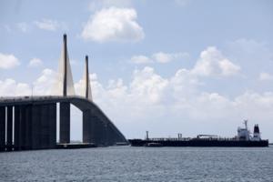 Douglas R. Clifford/Tampa Bay Times/TNS