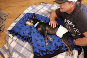 Christina House/Los Angeles Times/TNS