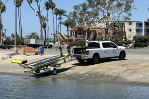 CSULB Shark Lab/TNS