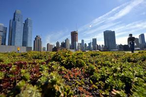 The rooftop of the Javits Center in New York is still thriving, but others have struggled. Xinhua/Wang Lei via Getty Images 