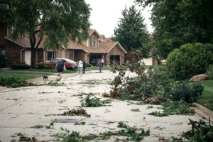 E. Jason Wambsgans/Chicago Tribune/TNS