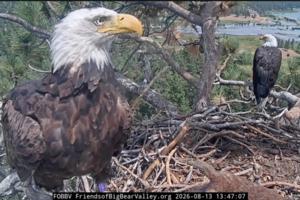 Friends of Big Bear Valley/Friends of Big Bear Valley/TNS