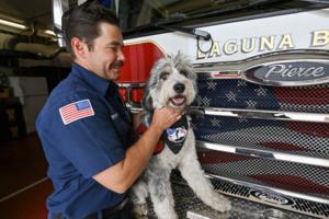 Jeff Gritchen/Orange County Register/TNS