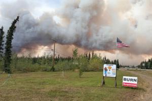 Tok Forestry & Fire Protection/TNS