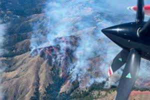 U.S. Forest Service/U.S. Forest Service/TNS