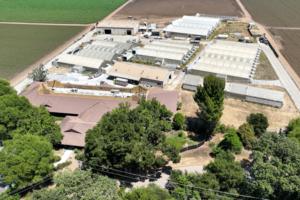 Nhat V. Meyer/Bay Area News Group/TNS