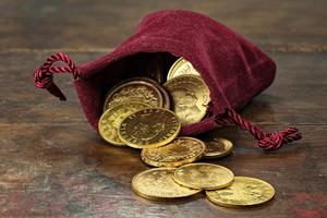 Moneybag. Dreamstime/TCA