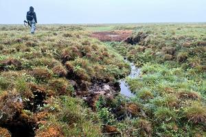 Thermokarst ponds, or trough ponds, typically form when the ice in permafrost melts. They can also drain quickly.  Anna Liljedahl