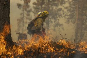 Wildland firefighters light a backfire while battling a fire near Mariposa, Calif., in 2022.  David McNew/AFP via Getty Images