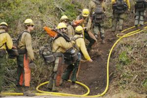 Cal Fire/TNS/TNS