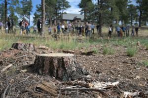 Hyoung Chang/The Denver Post/TNS