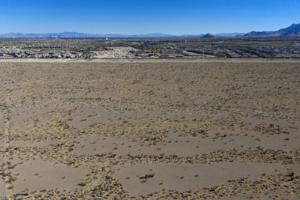 Sam Morris/Las Vegas Review-Journal/TNS