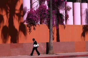 Genaro Molina/Los Angeles Times/TNS