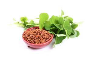 Should you consider trying fenugreek? (Dreamstime/TCA)