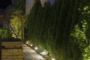 Low-voltage exterior lighting systems are available in many styles and sizes. (Dreamstime/TCA)