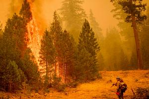 A firefighter monitors a backfire in California, set to clear away dry vegetation that could fuel wildfires.   Josh Edelson/AFP via Getty Images