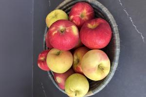 So many apples, so many possibilities.. (JeanMarie Brownson/TCA)