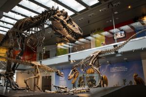 Stephanie Abramowicz, Dinosaur Institute, Natural History Museum of Los Angeles County/TNS/TNS