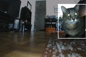The camera on a robot vacuum cleaner captured this cat. What else did it capture around the house?  voorts/Wikimedia Commons, CC BY-SA
